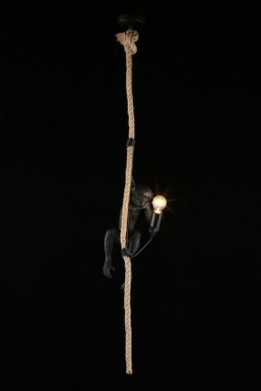 Подвесной светильник Aployt Magali APL.309.16.01 в Краснокамске - krasnokamsk.ok-mebel.com | фото 3
