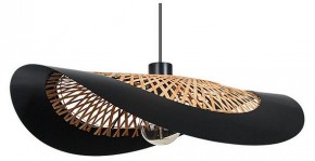 Подвесной светильник Arte Lamp Woodstock A7059SP-1BK в Краснокамске - krasnokamsk.ok-mebel.com | фото