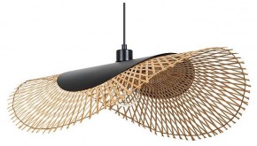 Подвесной светильник Arte Lamp Woodstock A7063SP-1BK в Краснокамске - krasnokamsk.ok-mebel.com | фото