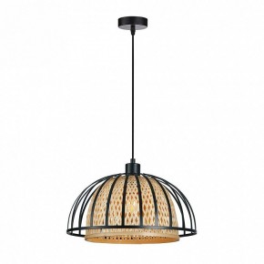 Подвесной светильник Arte Lamp Woodstock A7071SP-1BK в Краснокамске - krasnokamsk.ok-mebel.com | фото