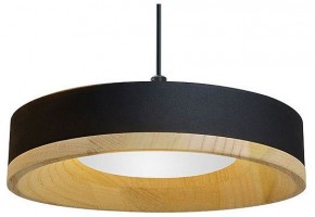 Подвесной светильник Divinare Vaso 5119/06 SP-12 в Краснокамске - krasnokamsk.ok-mebel.com | фото