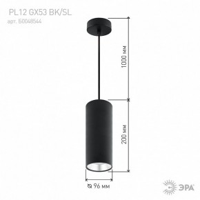 Подвесной светильник Эра  PL12 GX53 BK/SL в Краснокамске - krasnokamsk.ok-mebel.com | фото 8