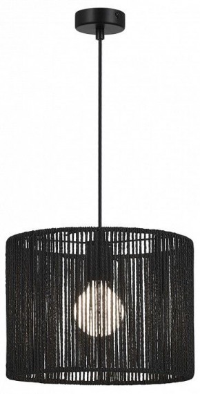 Подвесной светильник EVOLUCE ETTAN SLE6024-403-01 в Краснокамске - krasnokamsk.ok-mebel.com | фото 2
