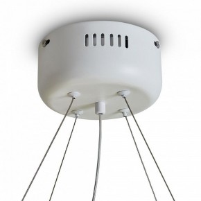 Подвесной светильник Freya Rain FR5546PL-L60W в Краснокамске - krasnokamsk.ok-mebel.com | фото 9