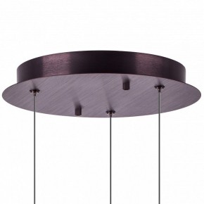 Подвесной светильник Lightstar Caramello 796139 в Краснокамске - krasnokamsk.ok-mebel.com | фото 13