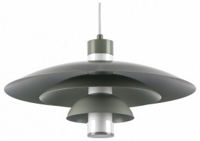 Подвесной светильник Lightstar Erbareo 799019 в Краснокамске - krasnokamsk.ok-mebel.com | фото