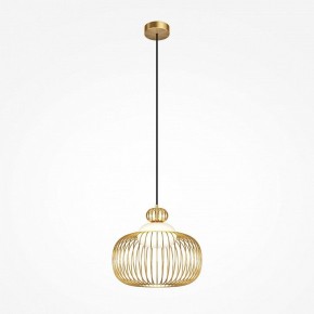 Подвесной светильник Maytoni Levitation MOD376PL-01G в Краснокамске - krasnokamsk.ok-mebel.com | фото 2