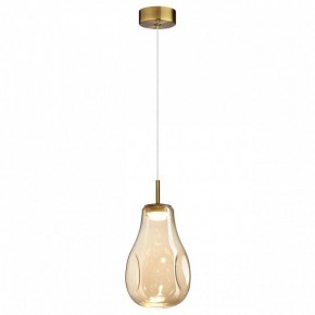 Подвесной светильник Odeon Light Nave 5098/4L в Краснокамске - krasnokamsk.ok-mebel.com | фото 2