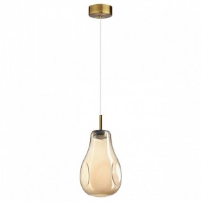 Подвесной светильник Odeon Light Nave 5098/4L в Краснокамске - krasnokamsk.ok-mebel.com | фото 4