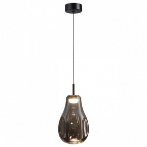 Подвесной светильник Odeon Light Nave 5098/4LC в Краснокамске - krasnokamsk.ok-mebel.com | фото 2