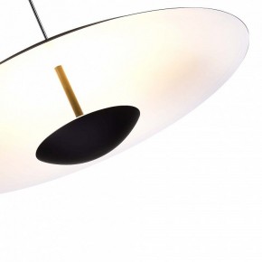 Подвесной светильник ST-Luce Armonico SL6502.403.01 в Краснокамске - krasnokamsk.ok-mebel.com | фото 5