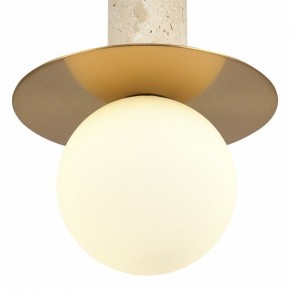 Подвесной светильник ST-Luce Earthy SL1194.303.01 в Краснокамске - krasnokamsk.ok-mebel.com | фото 5