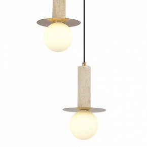 Подвесной светильник ST-Luce Earthy SL1194.303.03 в Краснокамске - krasnokamsk.ok-mebel.com | фото 4