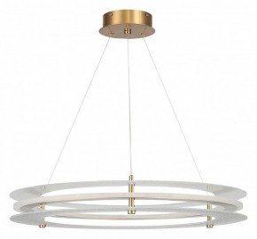 Подвесной светильник ST-Luce FAGY SL6245.203.01 в Краснокамске - krasnokamsk.ok-mebel.com | фото 3