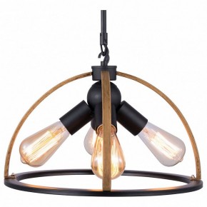 Подвесной светильник TopLight Jasmin TL1179H-04BK в Краснокамске - krasnokamsk.ok-mebel.com | фото
