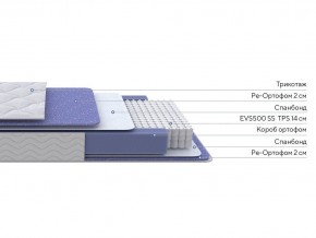 PROxSON Матрас Active F (Ткань Трикотаж Эко) 160x190 в Краснокамске - krasnokamsk.ok-mebel.com | фото 2