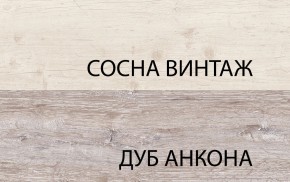 Шкаф 2D1S, MONAKO, цвет Сосна винтаж/дуб анкона в Краснокамске - krasnokamsk.ok-mebel.com | фото 1
