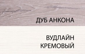 Шкаф 2DG, OLIVIA, цвет вудлайн крем/дуб анкона в Краснокамске - krasnokamsk.ok-mebel.com | фото 3