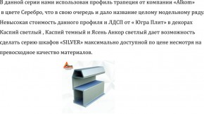 Шкаф-купе 2250 серии SILVER S3+S1+S4 B22+PL3 (по 2 ящика лев/прав+2 штанги) профиль «Серебро» в Краснокамске - krasnokamsk.ok-mebel.com | фото 4