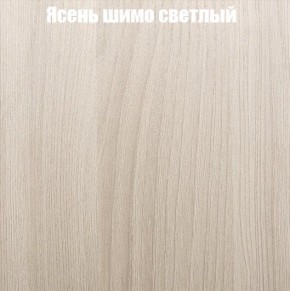 Шкаф-купе «ТАНДЕМ» 2-х дверный в алюминиевом профиле (Дверь К+К) 1200/h2200 в Краснокамске - krasnokamsk.ok-mebel.com | фото 6
