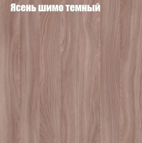 Шкаф-купе «ТАНДЕМ» 2-х дверный в алюминиевом профиле (Дверь К+К) 1200/h2200 в Краснокамске - krasnokamsk.ok-mebel.com | фото 7