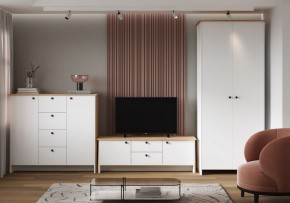 Шкаф платяной Теодора в Краснокамске - krasnokamsk.ok-mebel.com | фото 4