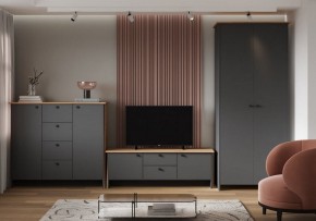 Шкаф платяной Теодора в Краснокамске - krasnokamsk.ok-mebel.com | фото 3