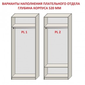 Шкаф распашной серия «ЗЕВС» (PL3/С1/PL2) в Краснокамске - krasnokamsk.ok-mebel.com | фото 9