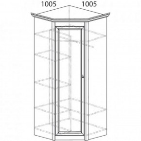 Шкаф угловой №662 "Флоренция" Фасад глухой (угол 1005*1005) Дуб оксфорд в Краснокамске - krasnokamsk.ok-mebel.com | фото 3