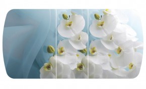 Стол Бостон-3 (Белая Орхидея) 1100/1420*700, опора Брифинг в Краснокамске - krasnokamsk.ok-mebel.com | фото 2