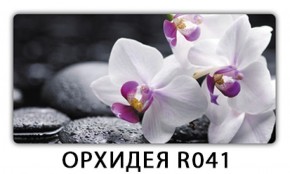 Стол раздвижной Трилогия с фотопечатью Орхидея R041 в Краснокамске - krasnokamsk.ok-mebel.com | фото 9