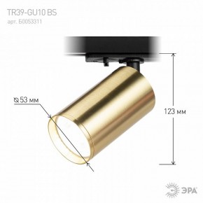 Светильник на штанге Эра  TR39-GU10 BS в Краснокамске - krasnokamsk.ok-mebel.com | фото 6