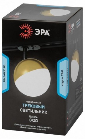 Светильник на штанге Эра  TR42-GX53 BS в Краснокамске - krasnokamsk.ok-mebel.com | фото 6