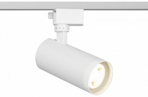 Светильник на штанге Эра  TR59 - 2040 WH в Краснокамске - krasnokamsk.ok-mebel.com | фото