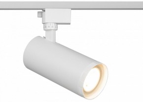 Светильник на штанге Эра  TR59 - 3030 WH в Краснокамске - krasnokamsk.ok-mebel.com | фото