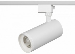 Светильник на штанге Эра  TR59 - 3030 WH в Краснокамске - krasnokamsk.ok-mebel.com | фото 2