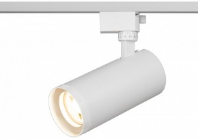 Светильник на штанге Эра  TR59 - 3030 WH в Краснокамске - krasnokamsk.ok-mebel.com | фото 5