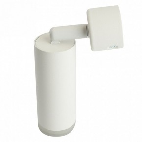 Светильник на штанге Feron ML1021 51390 в Краснокамске - krasnokamsk.ok-mebel.com | фото 3