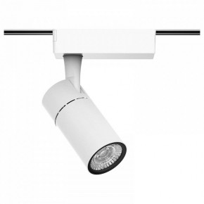 Светильник на штанге Gauss Track Light TR059 в Краснокамске - krasnokamsk.ok-mebel.com | фото