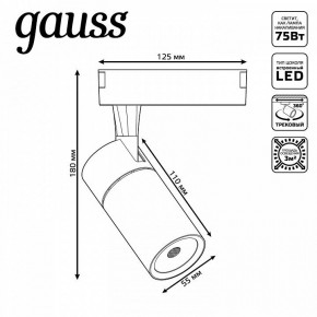Светильник на штанге Gauss Track Light TR060 в Краснокамске - krasnokamsk.ok-mebel.com | фото 5