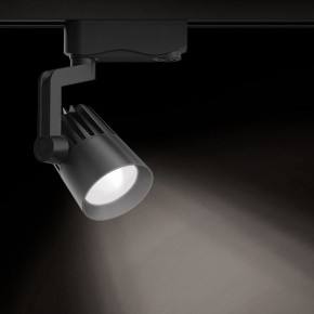 Светильник на штанге Gauss Track Light TR061 в Краснокамске - krasnokamsk.ok-mebel.com | фото 2
