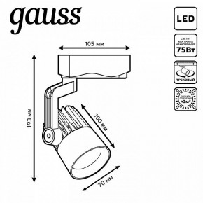 Светильник на штанге Gauss Track Light TR061 в Краснокамске - krasnokamsk.ok-mebel.com | фото 6