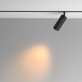 Светильник на штанге Maytoni Artisan TR097-2-12W2.7K-M-BB в Краснокамске - krasnokamsk.ok-mebel.com | фото 4
