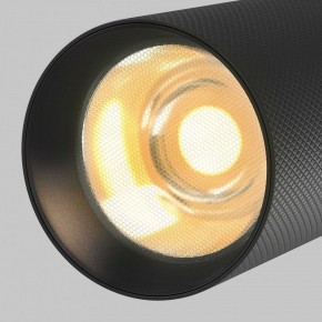 Светильник на штанге Maytoni Artisan TR097-2-12W2.7K-M-BB в Краснокамске - krasnokamsk.ok-mebel.com | фото 9