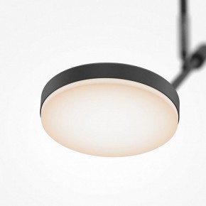 Светильник на штанге Maytoni Fad MOD070CL-L8B3K в Краснокамске - krasnokamsk.ok-mebel.com | фото 4