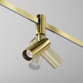 Светильник на штанге Maytoni Focus Led TR144-1-12W4K-W-BS в Краснокамске - krasnokamsk.ok-mebel.com | фото 3