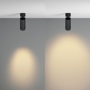 Светильник на штанге Maytoni Focus Zoom C055CL-L12W2.7K-Z-B в Краснокамске - krasnokamsk.ok-mebel.com | фото 3