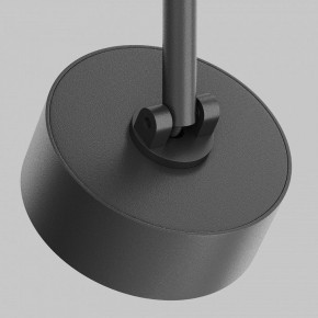 Светильник на штанге Maytoni Lens TR217-2-15W3K-B в Краснокамске - krasnokamsk.ok-mebel.com | фото 11