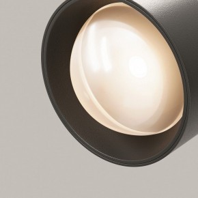 Светильник на штанге Maytoni Lens TR217-2-15W3K-B в Краснокамске - krasnokamsk.ok-mebel.com | фото 12