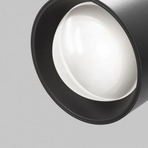 Светильник на штанге Maytoni Lens TR217-2-15W4K-B в Краснокамске - krasnokamsk.ok-mebel.com | фото 10
